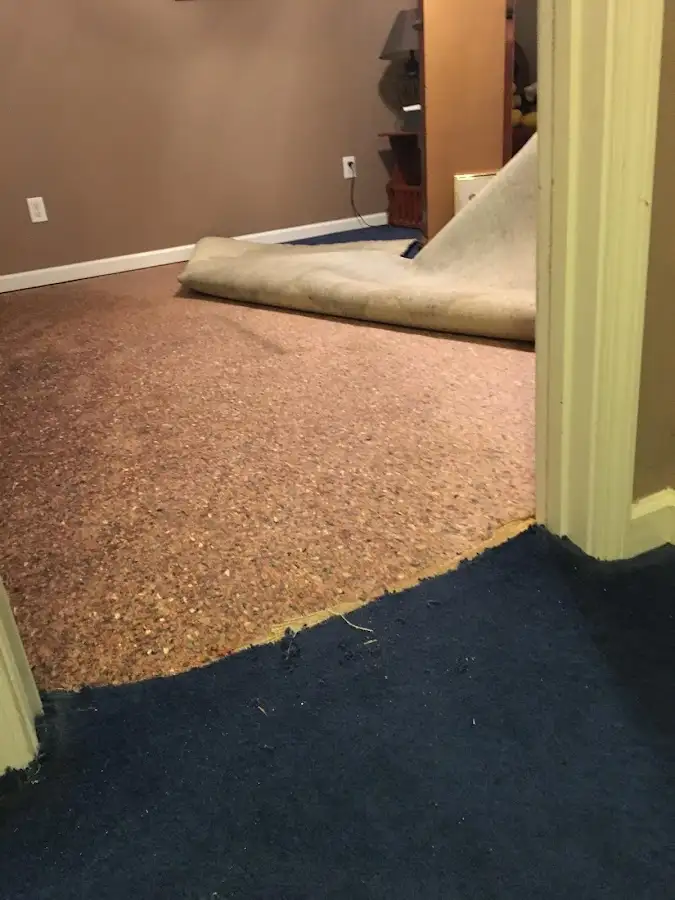 Carpet pad removal revealing water damage during Drying & Dehumidification in Winfield