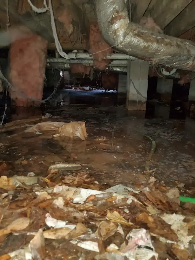 Crawl space flood assessment for Leak Detection & Repair in Winfield