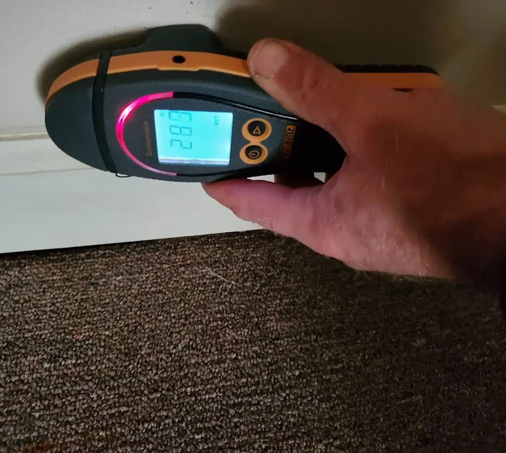 Moisture detection at baseboard during Sewage Cleanup & Sanitation in Winfield